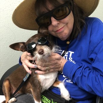 Animal Care Clinic - Too cool for the lazar tool! Waiting for cold lazar therapy when I injured my leg. Dr Jill is so very careful with our eyes! - Veterinarians Near Me - Round Rock, Texas Animal Care Clinic - Too cool for the lazar tool! Waiting for cold lazar therapy when I injured my leg. Dr Jill is so very careful with our eyes! - Veterinarians Near Me - Round Rock, Texas