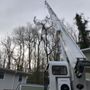 MACO Tree Service and Landscaping