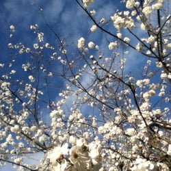 Life Sprouts 123