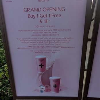 Molly Tea - Bubble Tea Near Me - Cupertino, California