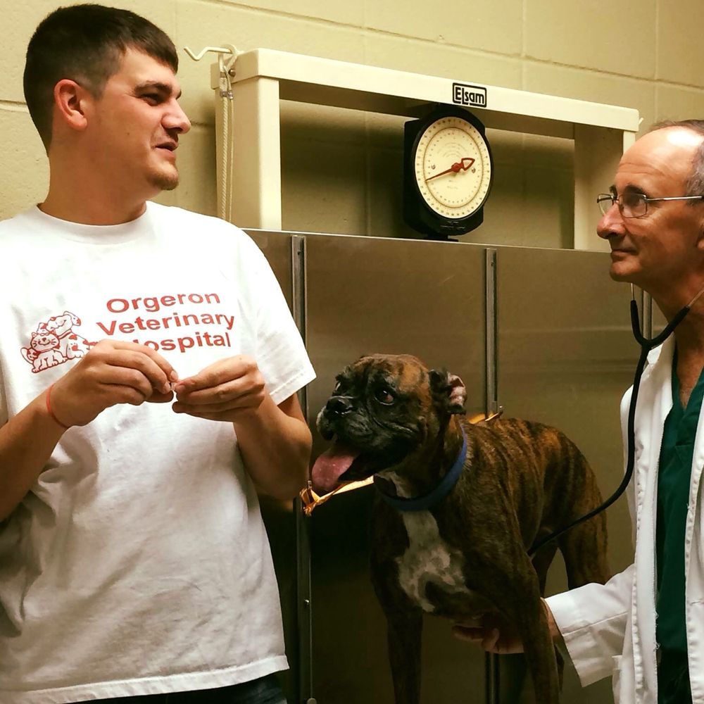 ORGERON VETERINARY HOSPITAL Updated September 2024 102 William O