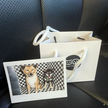 Forbes Grooming - Goody bag and attention to detail - Pet Groomers Near Me - Laguna Niguel, California Forbes Grooming - Goody bag and attention to detail - Pet Groomers Near Me - Laguna Niguel, California