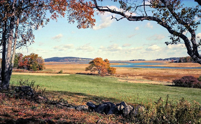 Cox Reservation Image