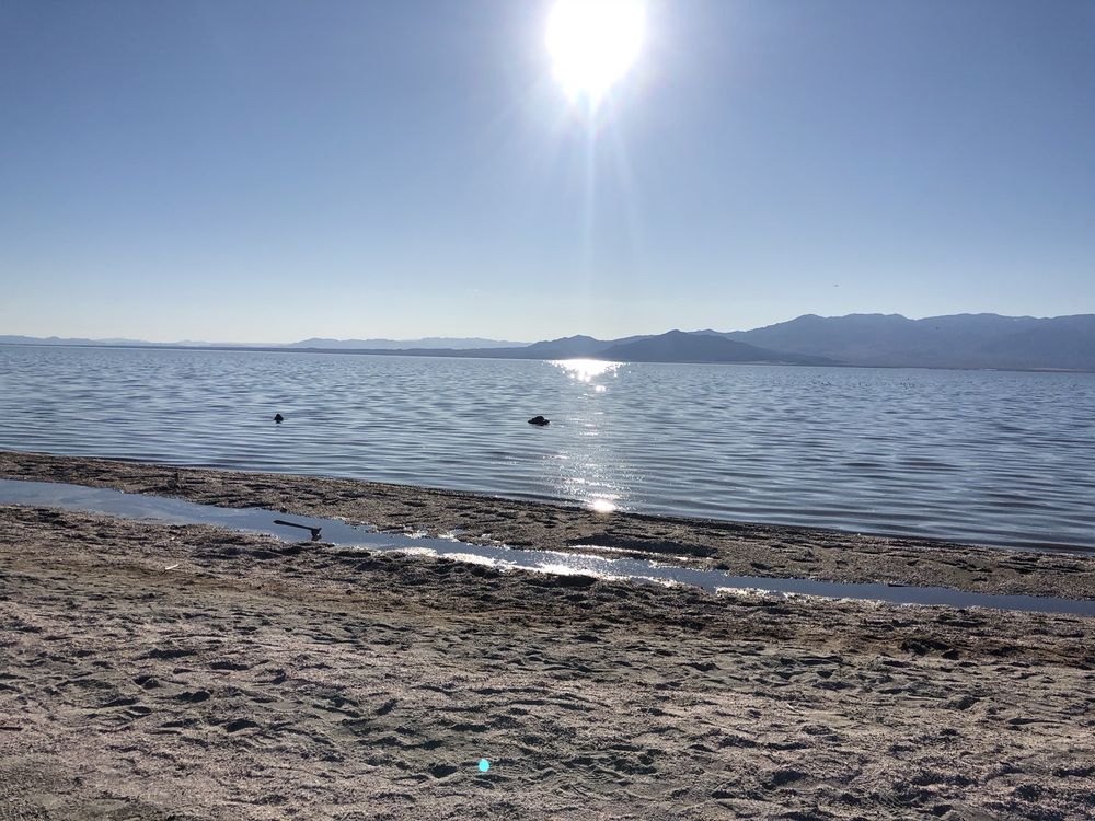 SALTON SEA STATE RECREATION AREA 276 Photos & 55 Reviews 100225
