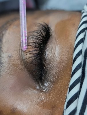 Virtue Lash by null