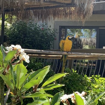 Humphreys Half Moon Inn - Water fall - San Diego, CA