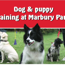 The Well Heeled Dog Club