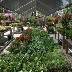 Murray's Farm Market