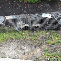 Ross Environmental Solutions