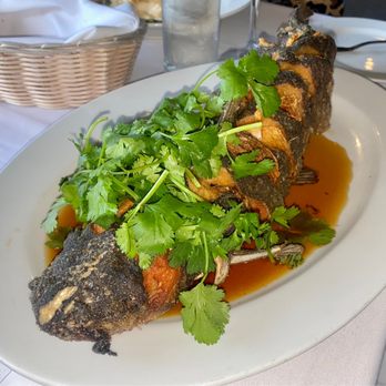 Shiro - Whole Sizzling Catfish - Asian Fusion Near Me - South Pasadena, California Shiro - Whole Sizzling Catfish - Asian Fusion Near Me - South Pasadena, California