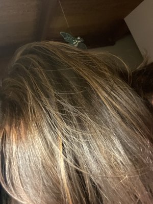 Orinda Hair Studio 1 Orinda Way Ste 5 Orinda Ca Hair Salons Mapquest Orinda Hair Studio 1 Orinda Way Ste 5 Orinda Ca Hair Salons Mapquest