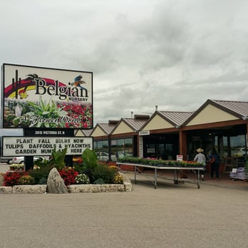 Belgian Nursery - Nurseries & Gardening Near Me - Breslau, Ontario