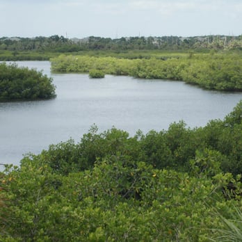 Upper Tampa Bay Conservation Park - view from the roof top - Rafting/Kayaking Near Me - Tampa, Florida Upper Tampa Bay Conservation Park - view from the roof top - Rafting/Kayaking Near Me - Tampa, Florida