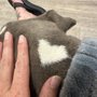 Photo of Purrfurred Pets Veterinary Clinic