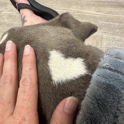 Purrfurred Pets Veterinary Clinic