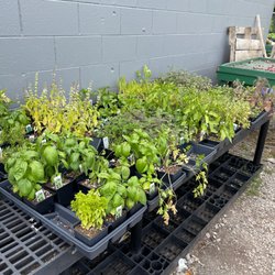 Jigg's Produce Market - Herbs