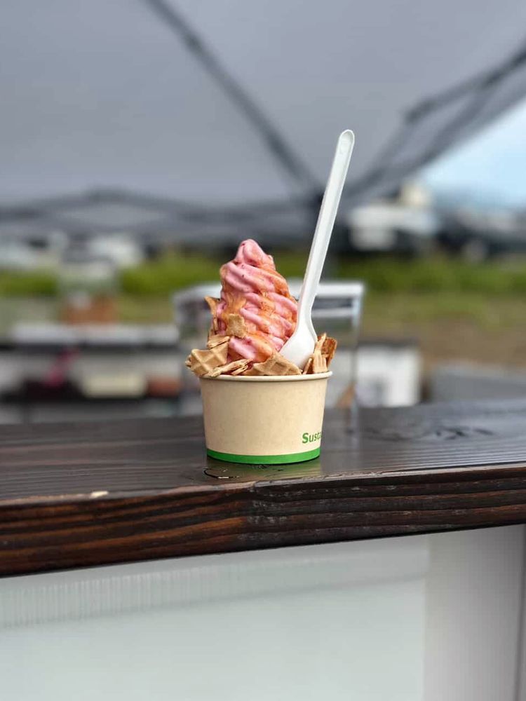 Perfect Day Real Fruit Ice Cream Logo