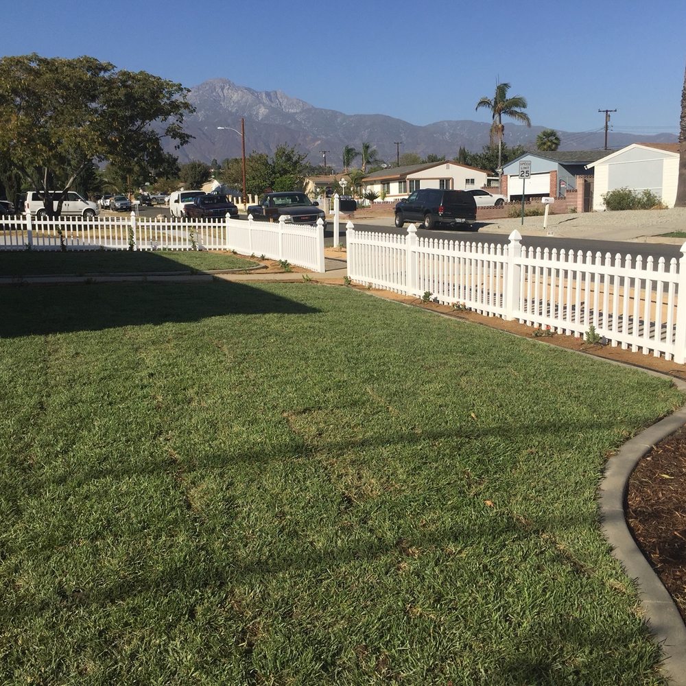The Turf Dr - Landscaping Near Me The Turf Dr - Landscaping Near Me
