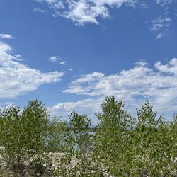 Poudre River Trail
