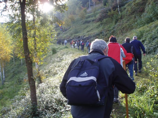 Ellauri Hotela by null