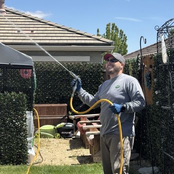 CAD Pest Control - Eddie Aiming at the roof line. Getting all Wasp Nests. Thank you. I feel much safer in my own yard. Julie A - Pest Control Near Me - Reno, Nevada CAD Pest Control - Eddie Aiming at the roof line. Getting all Wasp Nests. Thank you. I feel much safer in my own yard. Julie A - Pest Control Near Me - Reno, Nevada