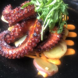 Dos Aguas - Octopus
