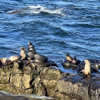 La Jolla Cove - Parks Near Me - La Jolla, California