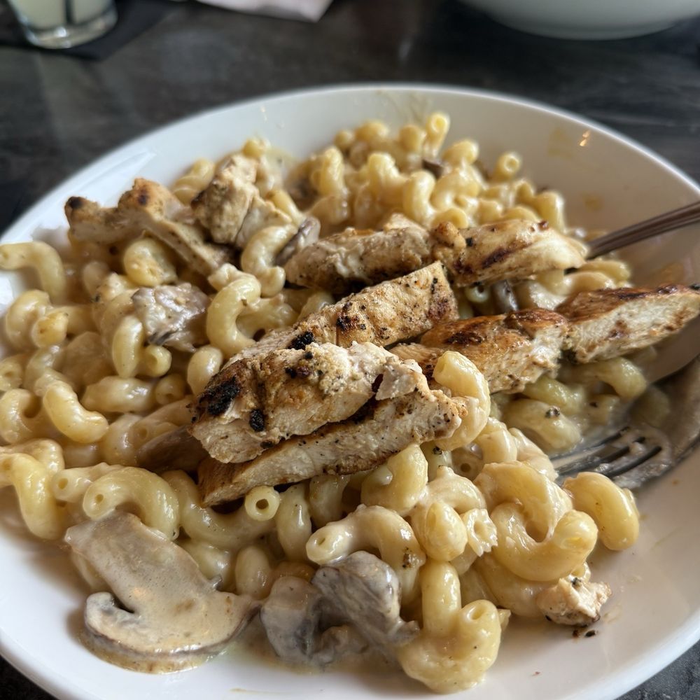 Lake Eustis Waterfront Grille - Alfredo - Seafood Near Me - Eustis, Florida
