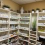 Photo of Ying Yang Acupuncture Clinic
