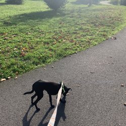 Happy Tails Dog Park