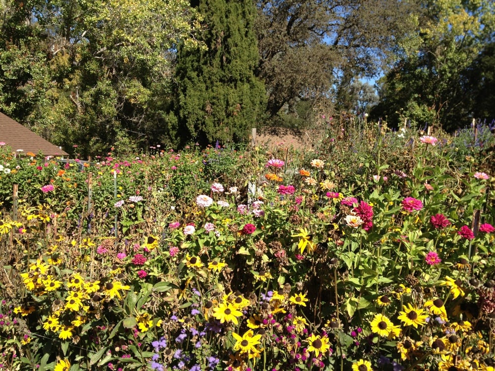 The Garden Logo