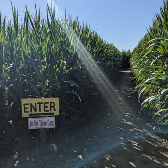 G&M Farms - Corn maze - Attraction Farms Near Me - Livermore, California G&M Farms - Corn maze - Attraction Farms Near Me - Livermore, California