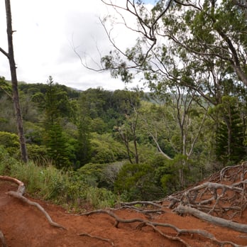 Aiea Loop Trail - Hiking Near Me - Aiea, Hawaii