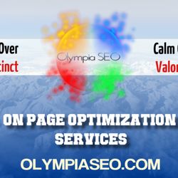 Digitaleer - On Page Optimization Services