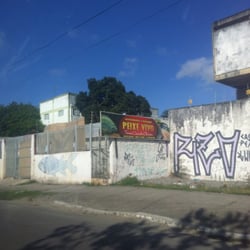 Peixe Vivo