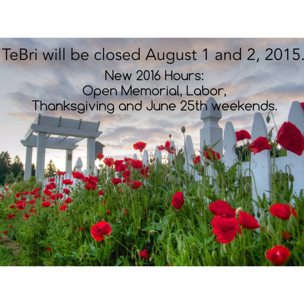 TeBri Vineyards And Lavender Logo