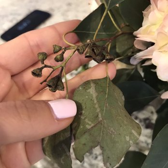 Blooming Flowers - Florists Near Me - Elk Grove Village, Illinois