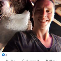Smylie’s Mobile Pet Grooming