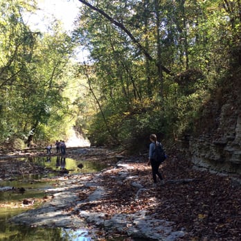 Clifty Falls State Park - Trails that were part of the creek. Beautiful! - Climbing Near Me - Madison, Indiana