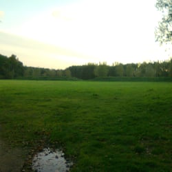Bremweide