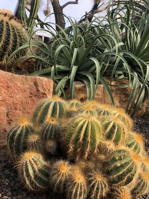 Botanical Garden by null