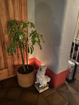 Palm Springs Art Museum Architecture and Design Center by null