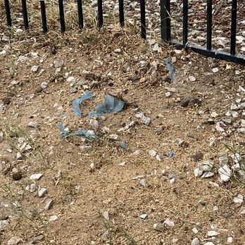 Royal Tree Service - Dead tree removed - Tree Services Near Me Royal Tree Service - Dead tree removed - Tree Services Near Me