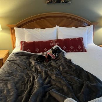 Piazza's Pine Cone Inn - Room 8 - Hotels Near Me - Kernville, California