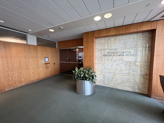 Mayo Clinic by null