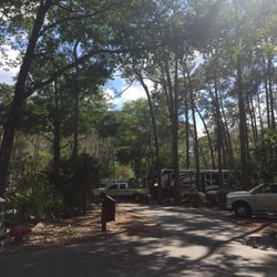The Campsites at Disney's Fort Wilderness Resort - Loop 1100. Small heavily wooded premium campsites