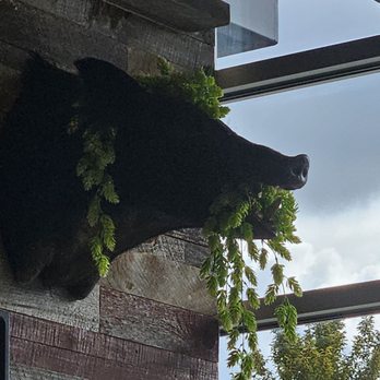 Von Ebert Pizzeria & Taproom - 9/11/2024 - Dropping in for some lunch with a friend. - Brewpubs Near Me - Portland, Oregon Von Ebert Pizzeria & Taproom - 9/11/2024 - Dropping in for some lunch with a friend. - Brewpubs Near Me - Portland, Oregon