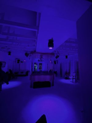 ZeyZey Miami by null