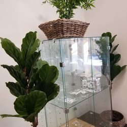 Life of Kratom