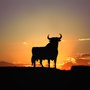 Photo of Toro de Osborne de la Universitat Politècnica de València